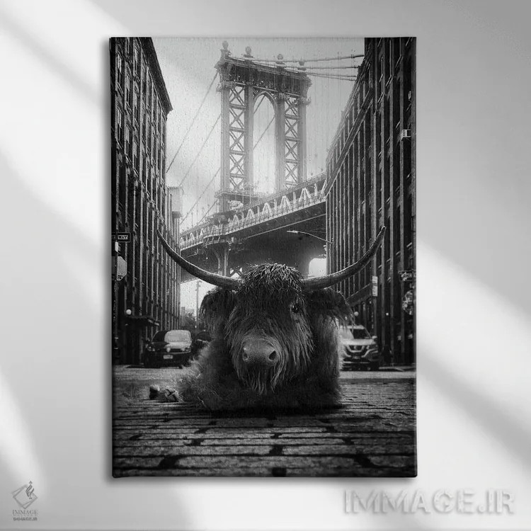 تابلو دکوراتیو گاو کوهستانی در خیابان اثر جوفری فیلیپ - نمای روبهرو روی دیوار