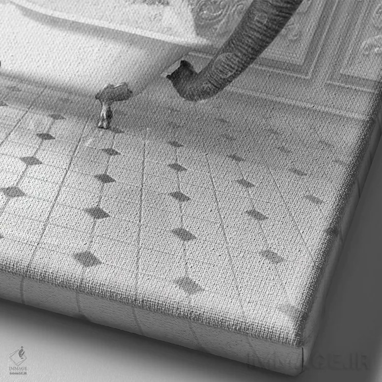 تابلو دکوراتیو فیل در حمام سیاه و سفید اثر جوفری فیلیپ - نمای نزدیک بافت بوم