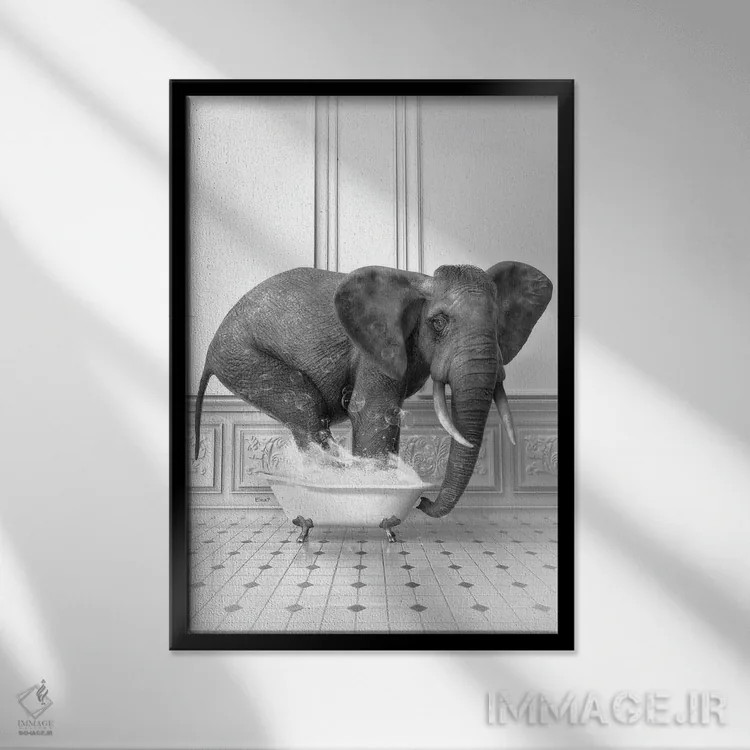 تابلو دکوراتیو فیل در حمام سیاه و سفید اثر جوفری فیلیپ - نمای قابدار مشکی