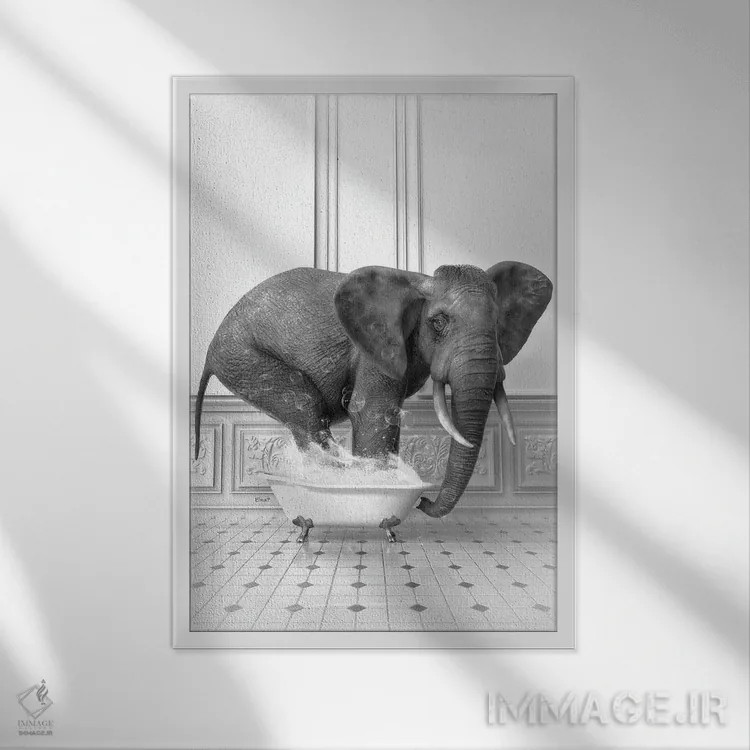 تابلو دکوراتیو فیل در حمام سیاه و سفید اثر جوفری فیلیپ - نمای قابدار سفید