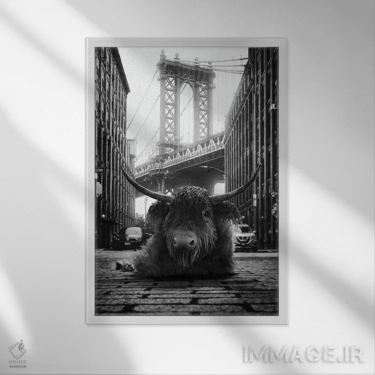 تابلو دکوراتیو گاو کوهستانی در خیابان اثر جوفری فیلیپ - نمای قابدار سفید