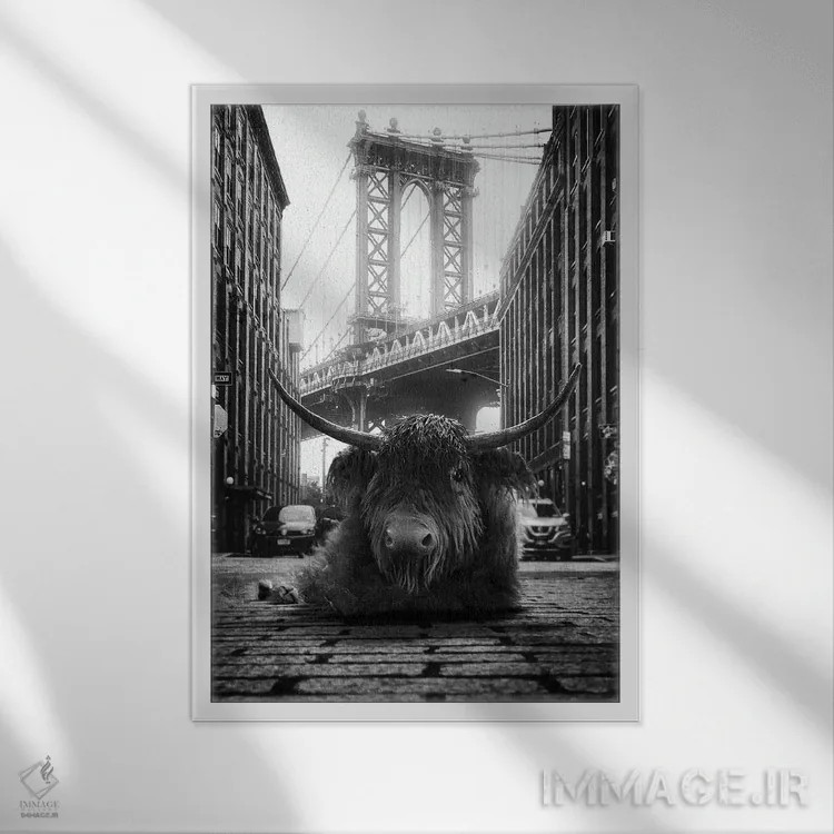 تابلو دکوراتیو گاو کوهستانی در خیابان اثر جوفری فیلیپ - نمای قابدار سفید