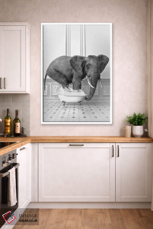 تابلو دکوراتیو فیل در حمام سیاه و سفید اثر جوفری فیلیپ - D4W