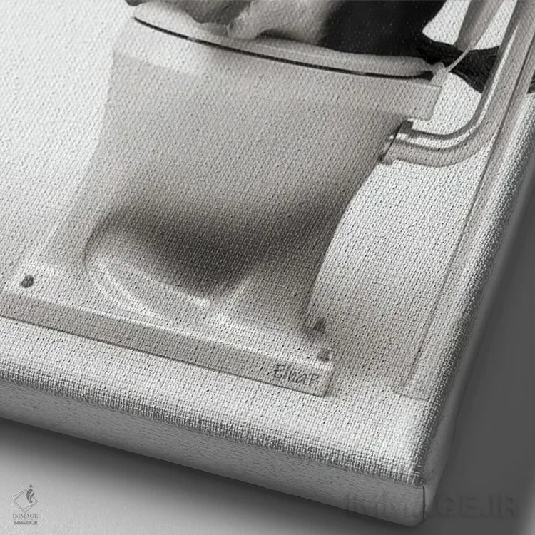 تابلو دکوراتیو پنگوئن در توالت سیاه و سفید اثر جوفری فیلیپ - نمای نزدیک بافت بوم