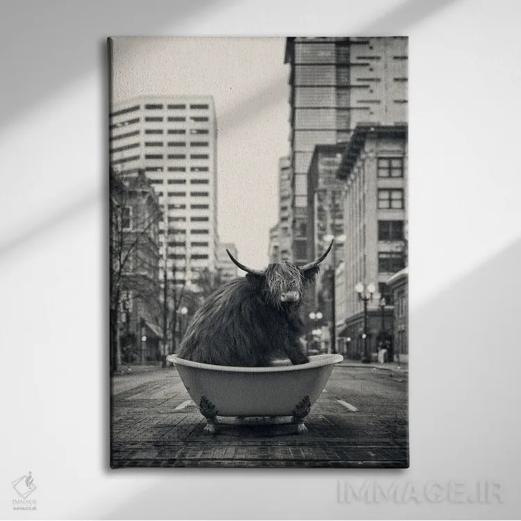 تابلو دکوراتیو گاو کوهستانی در خیابان اثر جوفری فیلیپ - نمای روبهرو روی دیوار