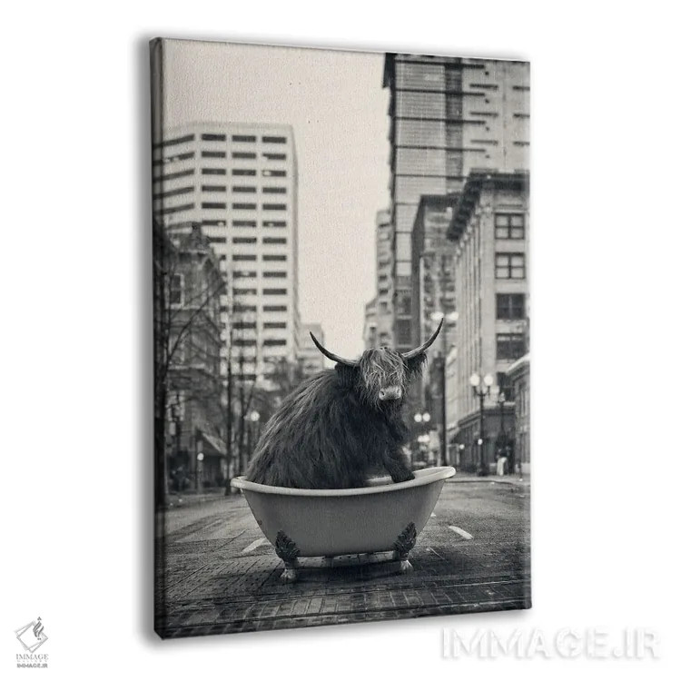 تابلو دکوراتیو گاو کوهستانی در خیابان اثر جوفری فیلیپ - نمای پرسپکتیو محصول