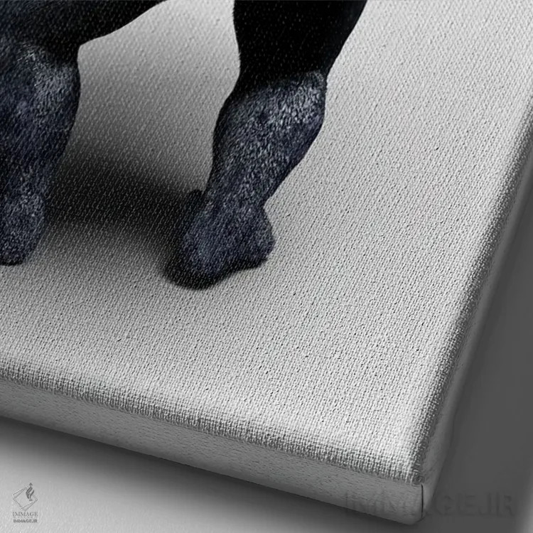 تابلو دکوراتیو گوریل در حال دوش گرفتن اثر جوفری فیلیپ - نمای نزدیک بافت بوم