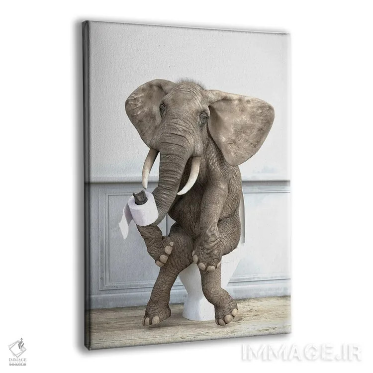 تابلو دکوراتیو فیل در دستشویی اثر جوفری فیلیپ - نمای پرسپکتیو محصول