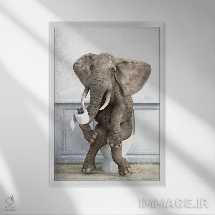 تابلو دکوراتیو فیل در دستشویی اثر جوفری فیلیپ - نمای قابدار سفید