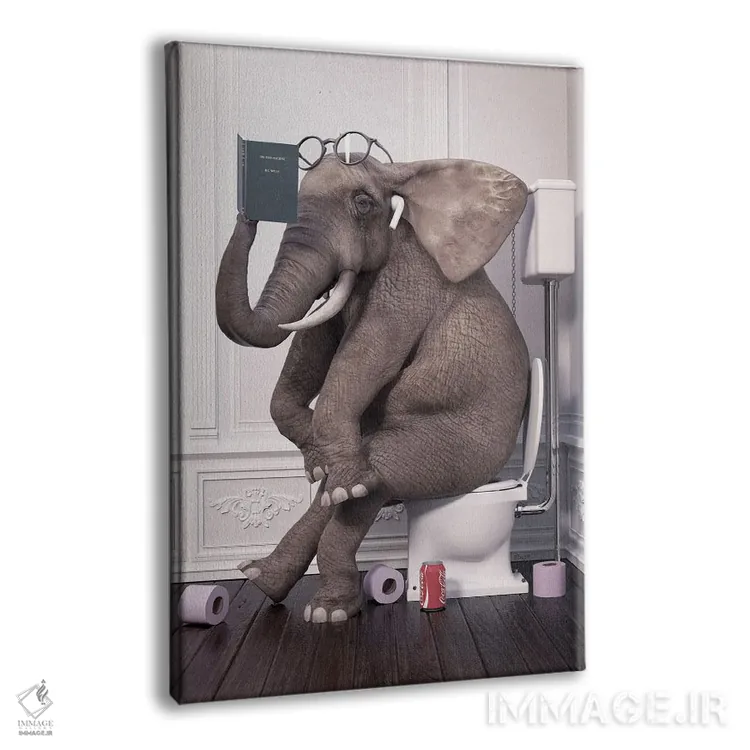 تابلو دکوراتیو فیل آرام در دستشویی در حال کتاب خوانی اثر جوفری فیلیپ - نمای پرسپکتیو محصول