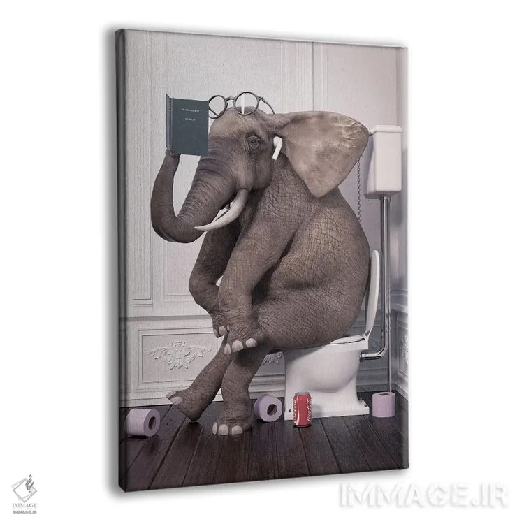 تابلو دکوراتیو فیل آرام در دستشویی در حال کتاب خوانی اثر جوفری فیلیپ - نمای پرسپکتیو محصول