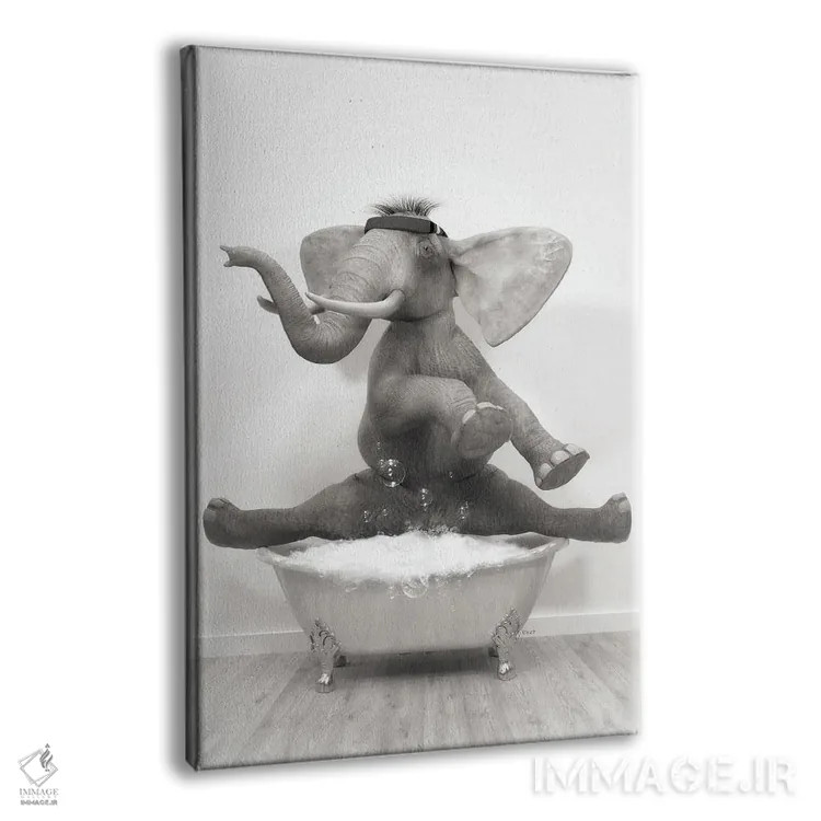 تابلو دکوراتیو فیل ژیمناست در حمام اثر جوفری فیلیپ - نمای پرسپکتیو محصول