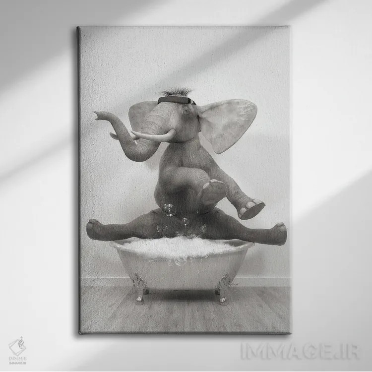 تابلو دکوراتیو فیل ژیمناست در حمام اثر جوفری فیلیپ - نمای روبهرو روی دیوار