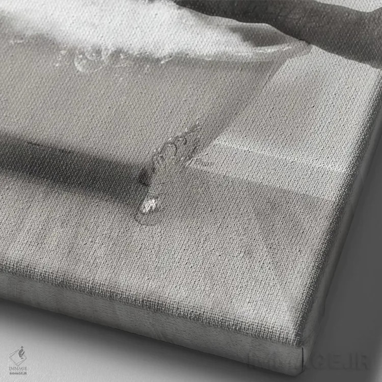 تابلو دکوراتیو فیل ژیمناست در حمام اثر جوفری فیلیپ - نمای نزدیک بافت بوم