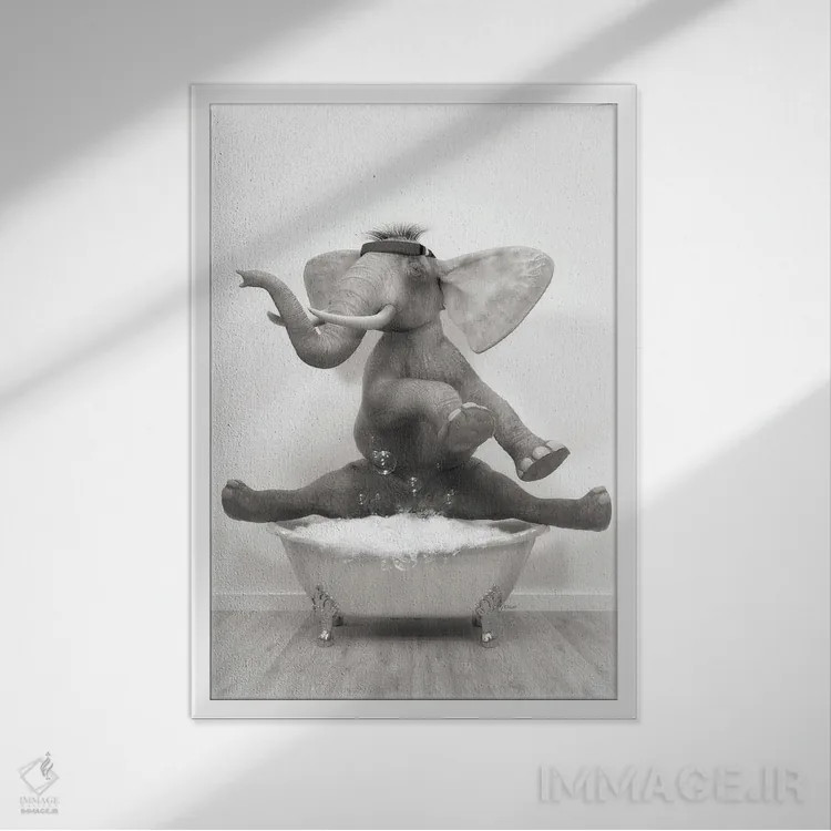 تابلو دکوراتیو فیل ژیمناست در حمام اثر جوفری فیلیپ - نمای قابدار سفید