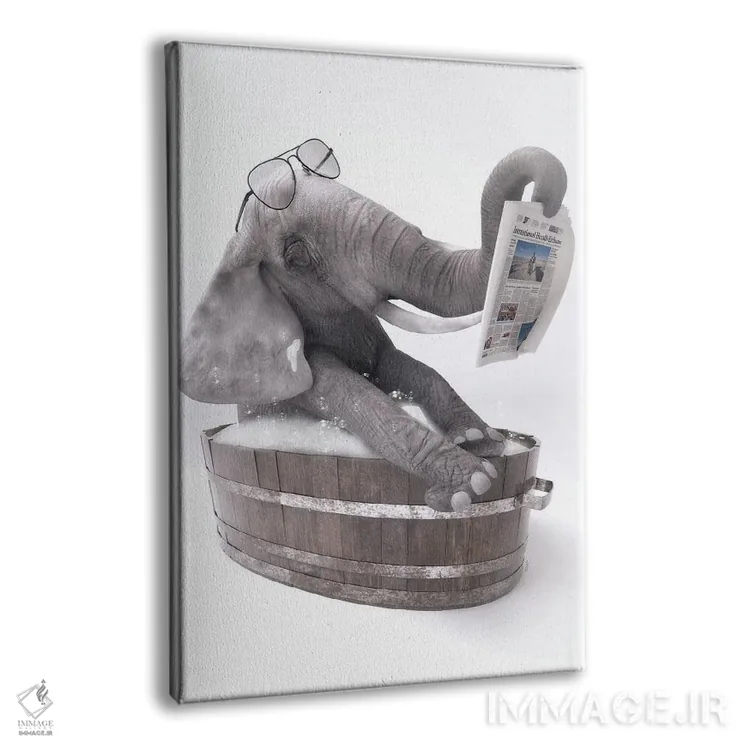 تابلو دکوراتیو فیل در وان حمام در حال خواندن روزنامه اثر جوفری فیلیپ - نمای پرسپکتیو محصول