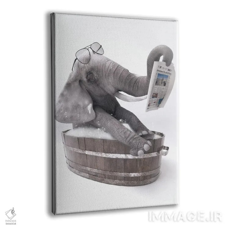 تابلو دکوراتیو فیل در وان حمام در حال خواندن روزنامه اثر جوفری فیلیپ - نمای پرسپکتیو محصول
