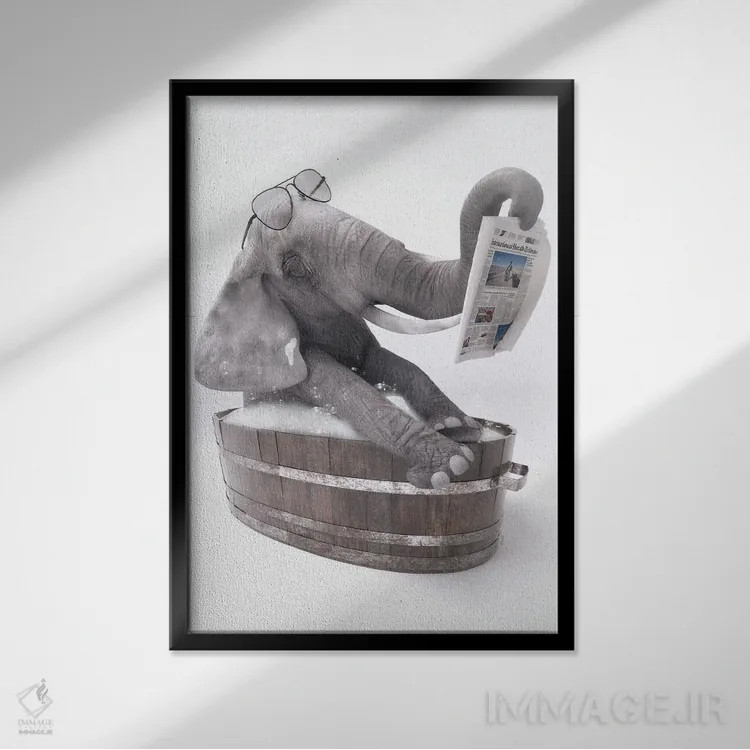 تابلو دکوراتیو فیل در وان حمام در حال خواندن روزنامه اثر جوفری فیلیپ - نمای قابدار مشکی