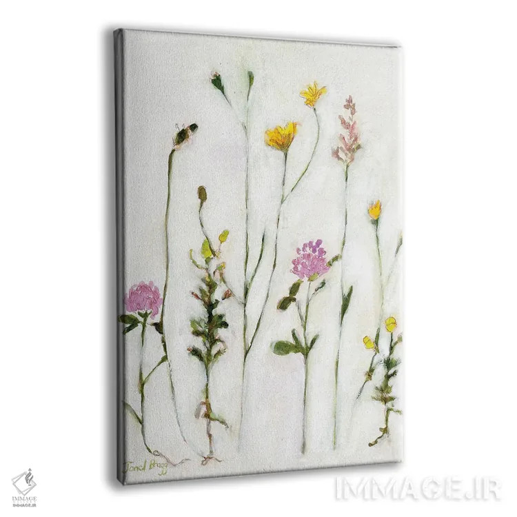 تابلو مینیمال بابونه، شبدر و قاصدک اثر جنل براگ - نمای پرسپکتیو محصول