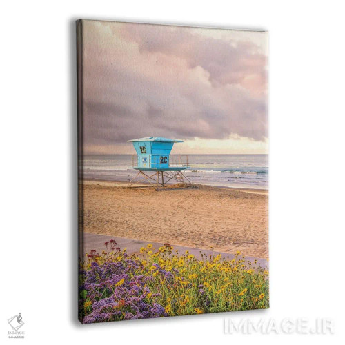 تابلو دکوراتیو گل آرایی ساحل مرکزی کورونادو اثر جوزف اس. جیاکالونه - نمای پرسپکتیو محصول