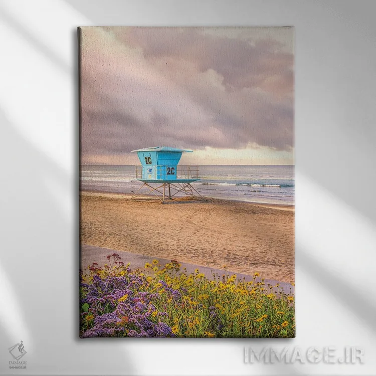 تابلو دکوراتیو گل آرایی ساحل مرکزی کورونادو اثر جوزف اس. جیاکالونه - نمای روبهرو روی دیوار
