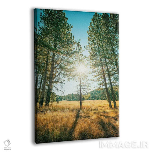 تابلو دکوراتیو پارک ایالتی کوه پالومار اثر جوزف اس. جیاکالونه - نمای پرسپکتیو محصول