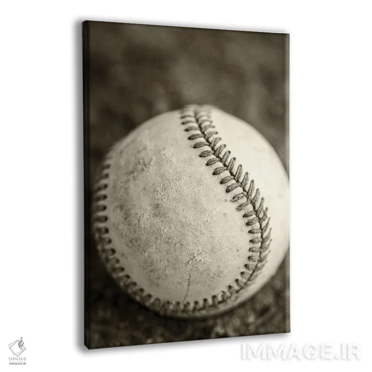 تابلو دکوراتیو مرا به مسابقه بیسبال ببر اثر جوزف اس. جیاکالونه - نمای پرسپکتیو محصول