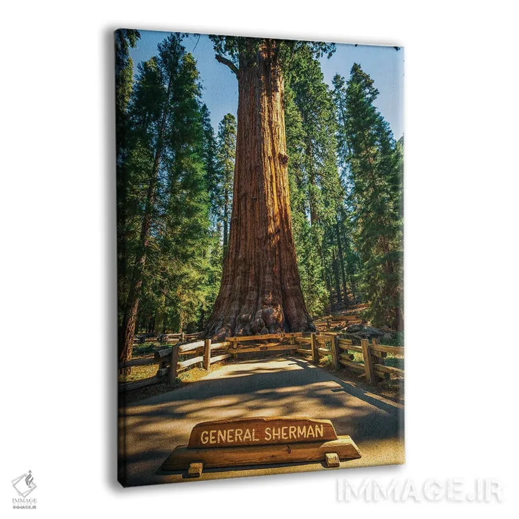 تابلو دکوراتیو ژنرال شرمن اثر جوزف اس. جیاکالونه - نمای پرسپکتیو محصول