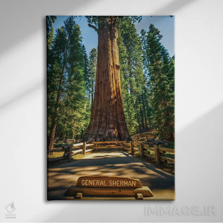 تابلو دکوراتیو ژنرال شرمن اثر جوزف اس. جیاکالونه - نمای روبهرو روی دیوار