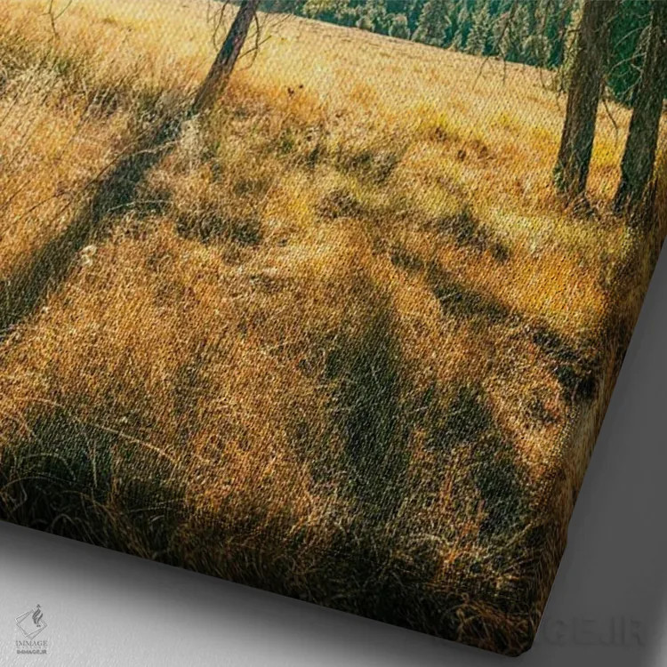 تابلو دکوراتیو پارک ایالتی کوه پالومار اثر جوزف اس. جیاکالونه - نمای نزدیک بافت بوم