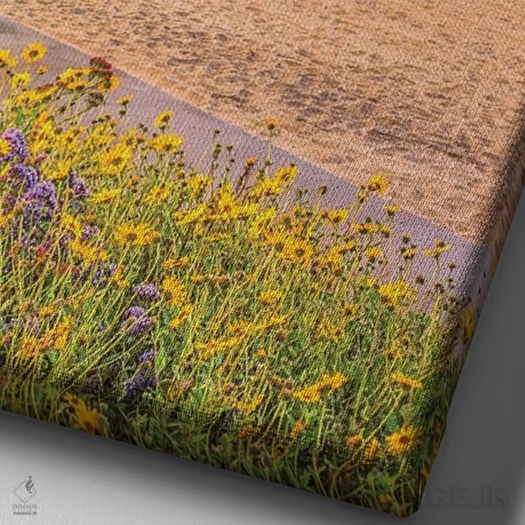 تابلو دکوراتیو گل آرایی ساحل مرکزی کورونادو اثر جوزف اس. جیاکالونه - نمای نزدیک بافت بوم