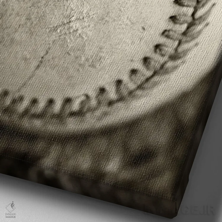 تابلو دکوراتیو مرا به مسابقه بیسبال ببر اثر جوزف اس. جیاکالونه - نمای نزدیک بافت بوم