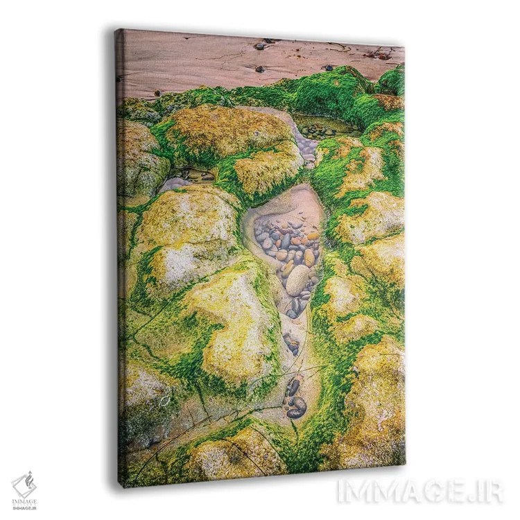 تابلو دکوراتیو حوضچه جزر و مد در ساحل سوآمی اثر جوزف اس. جیاکالونه - نمای پرسپکتیو محصول