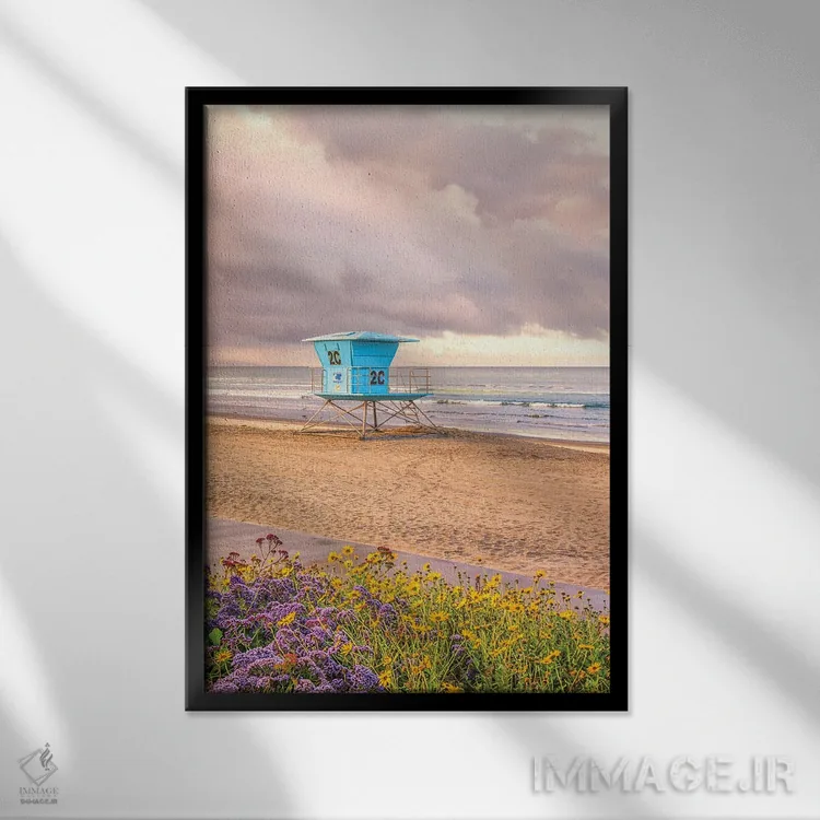 تابلو دکوراتیو گل آرایی ساحل مرکزی کورونادو اثر جوزف اس. جیاکالونه - نمای قابدار مشکی