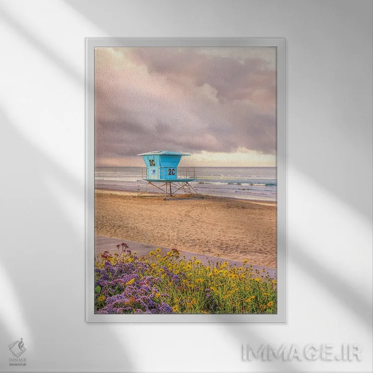 تابلو دکوراتیو گل آرایی ساحل مرکزی کورونادو اثر جوزف اس. جیاکالونه - نمای قابدار سفید