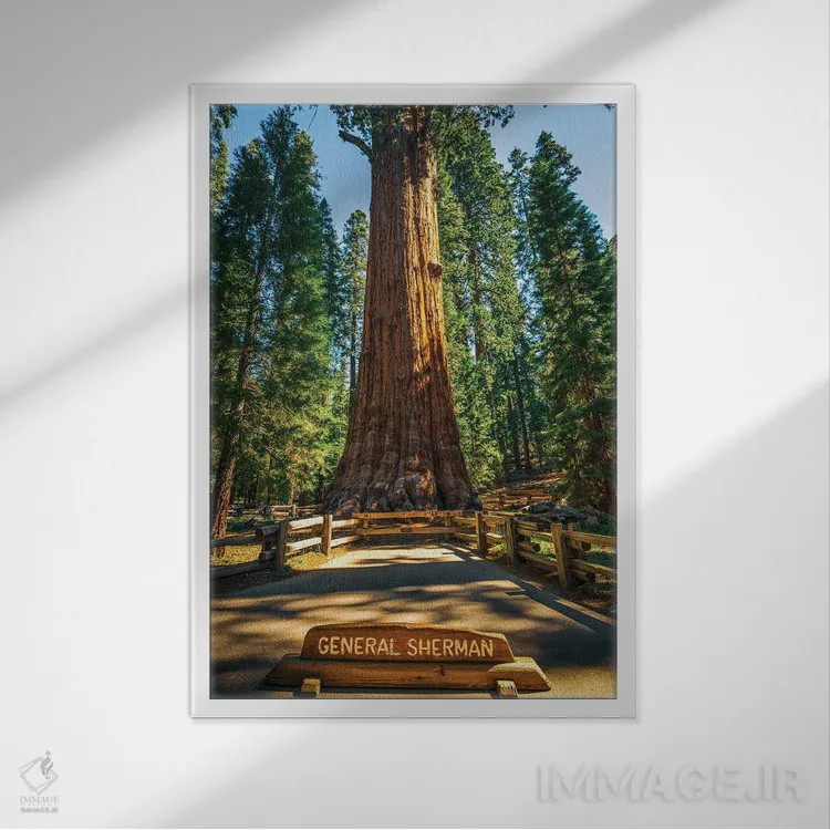 تابلو دکوراتیو ژنرال شرمن اثر جوزف اس. جیاکالونه - نمای قابدار سفید