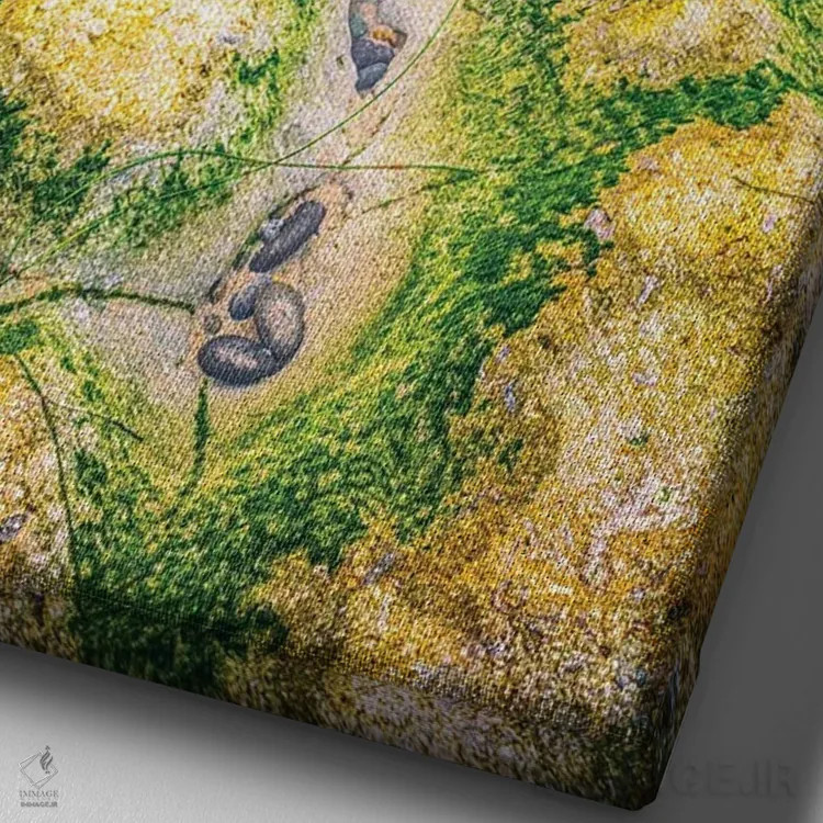 تابلو دکوراتیو حوضچه جزر و مد در ساحل سوآمی اثر جوزف اس. جیاکالونه - نمای نزدیک بافت بوم