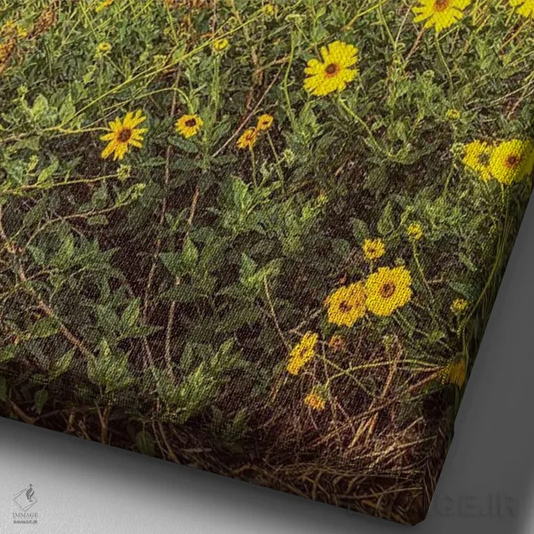 تابلو دکوراتیو گل های وحشی بالای ساحل سوامی اثر جوزف اس. جیاکالونه - نمای نزدیک بافت بوم