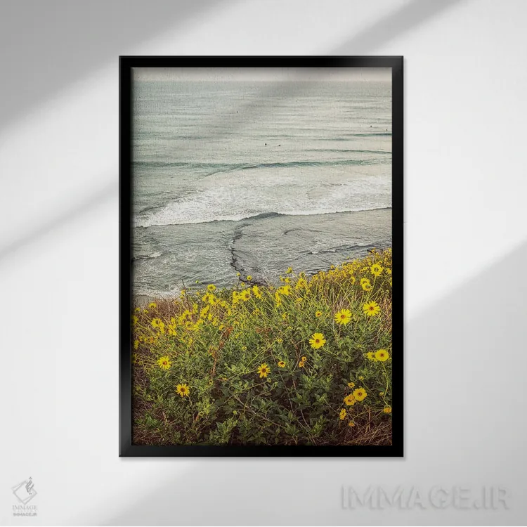 تابلو دکوراتیو گل های وحشی بالای ساحل سوامی اثر جوزف اس. جیاکالونه - نمای قابدار مشکی