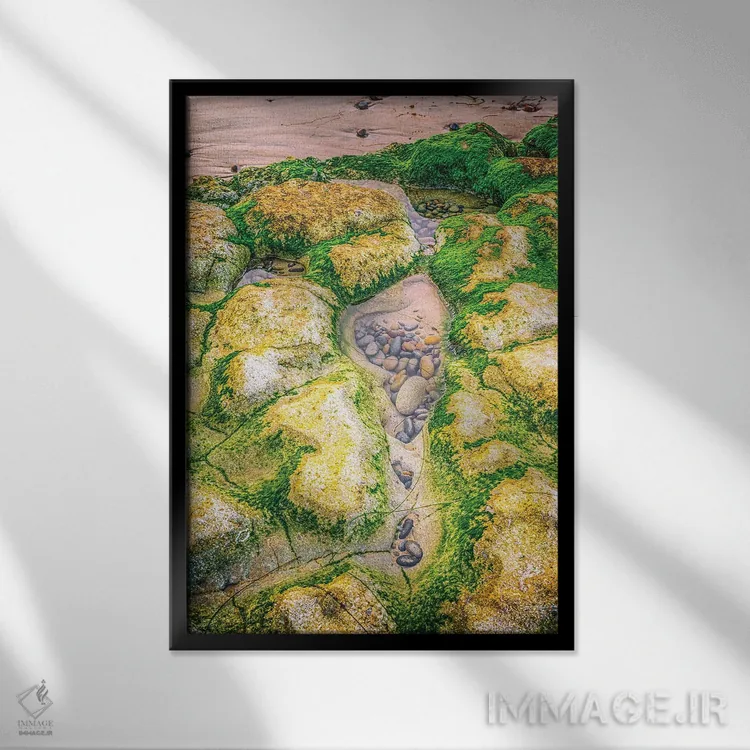 تابلو دکوراتیو حوضچه جزر و مد در ساحل سوآمی اثر جوزف اس. جیاکالونه - نمای قابدار مشکی