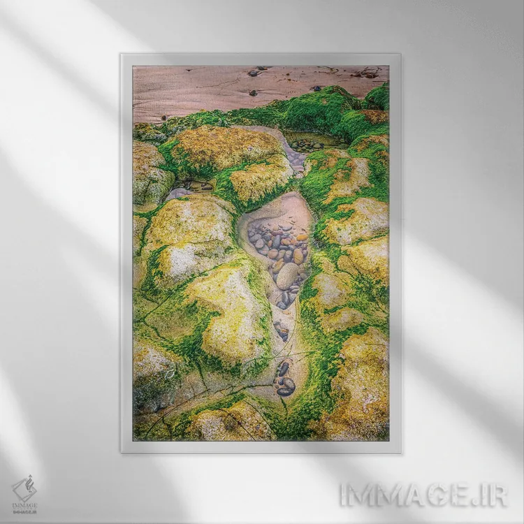 تابلو دکوراتیو حوضچه جزر و مد در ساحل سوآمی اثر جوزف اس. جیاکالونه - نمای قابدار سفید