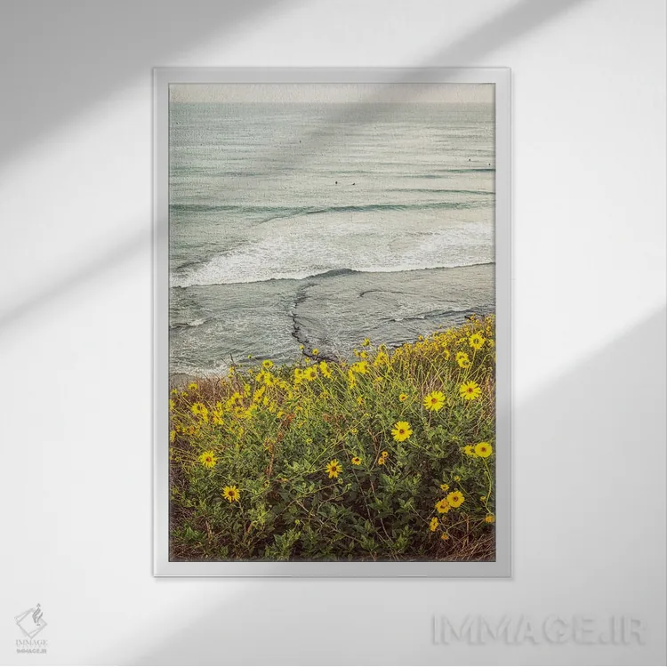 تابلو دکوراتیو گل های وحشی بالای ساحل سوامی اثر جوزف اس. جیاکالونه - نمای قابدار سفید