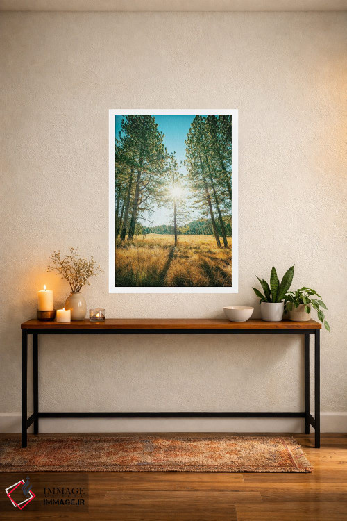 تابلو دکوراتیو پارک ایالتی کوه پالومار اثر جوزف اس. جیاکالونه - D3W