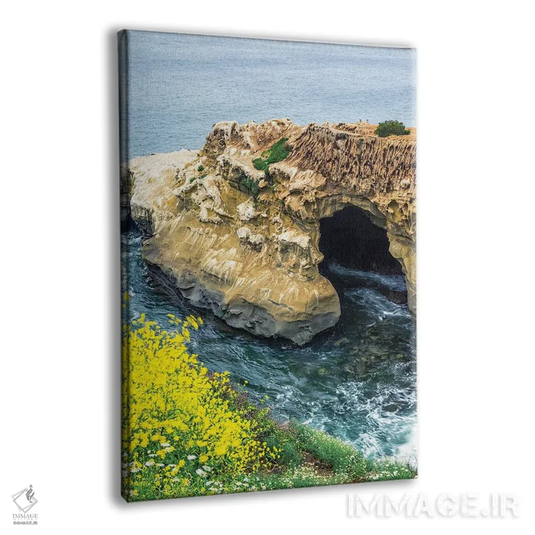 تابلو دکوراتیو زیبایی بهاری کنار غار سانی جیم اثر جوزف اس. جیاکالونه - نمای پرسپکتیو محصول