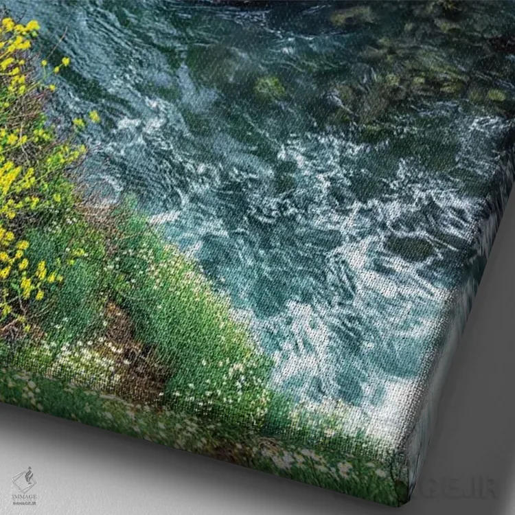 تابلو دکوراتیو زیبایی بهاری کنار غار سانی جیم اثر جوزف اس. جیاکالونه - نمای نزدیک بافت بوم