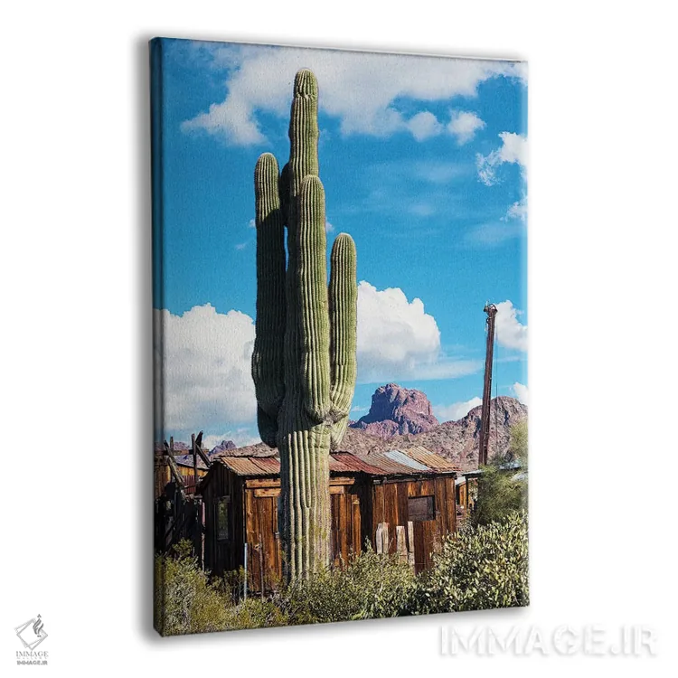 تابلو دکوراتیو کاکتوس شهر گنبد کاخ اثر جوزف اس. جیاکالونه - نمای پرسپکتیو محصول