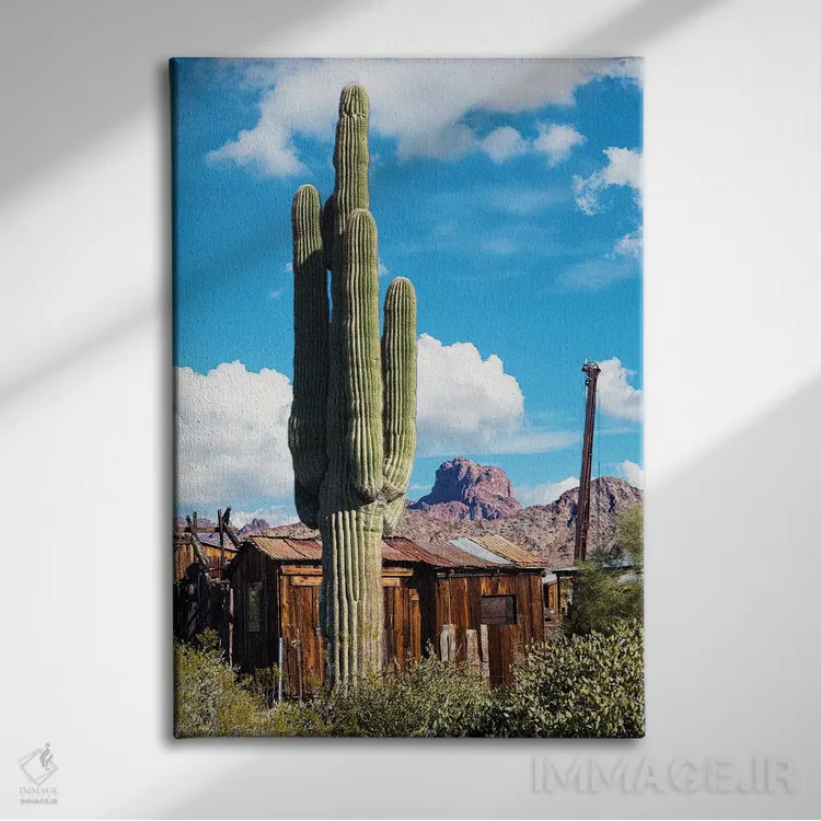 تابلو دکوراتیو کاکتوس شهر گنبد کاخ اثر جوزف اس. جیاکالونه - نمای روبهرو روی دیوار