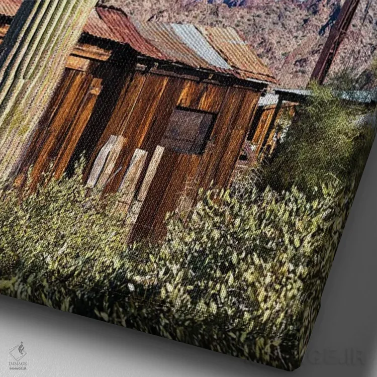 تابلو دکوراتیو کاکتوس شهر گنبد کاخ اثر جوزف اس. جیاکالونه - نمای نزدیک بافت بوم