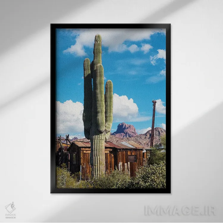 تابلو دکوراتیو کاکتوس شهر گنبد کاخ اثر جوزف اس. جیاکالونه - نمای قابدار مشکی