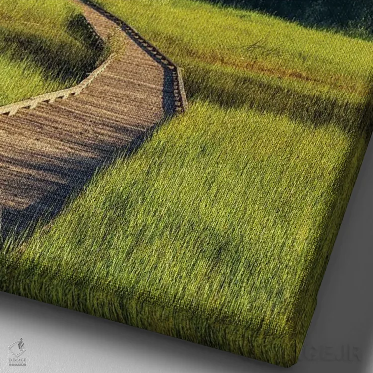 تابلو دکوراتیو مسیر در دره یوسیمیتی اثر جوزف اس. جیاکالونه - نمای نزدیک بافت بوم